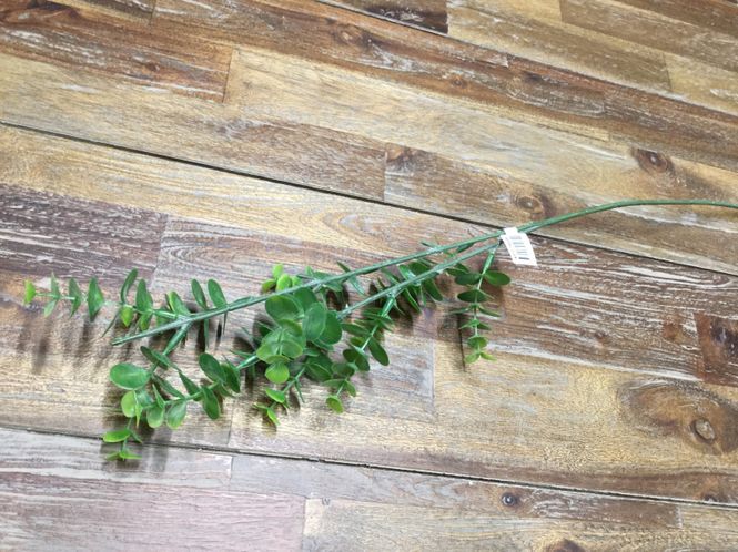 Hovedbilde MR Plant Grønn kvistt