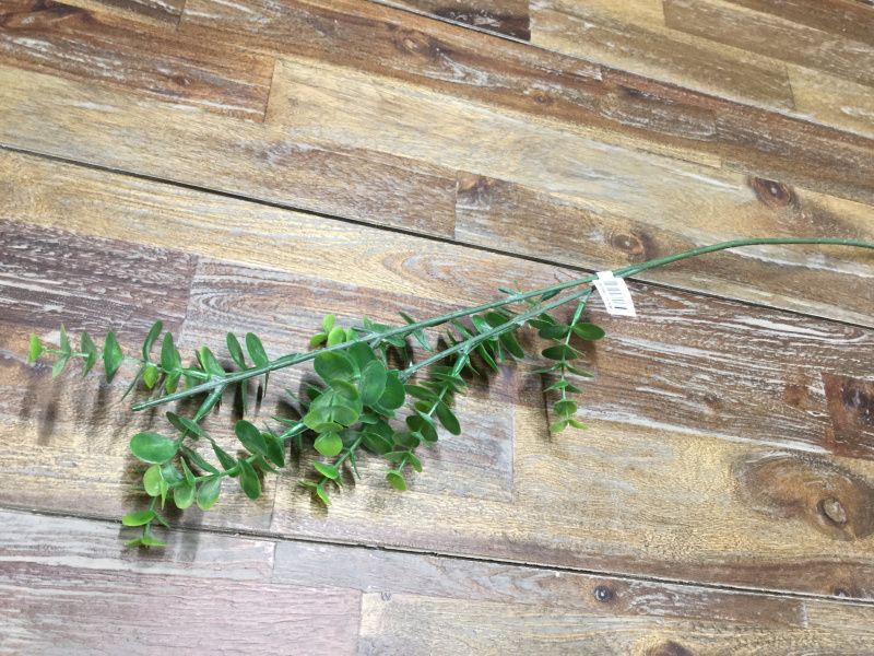 MR Plant Grønn kvistt
