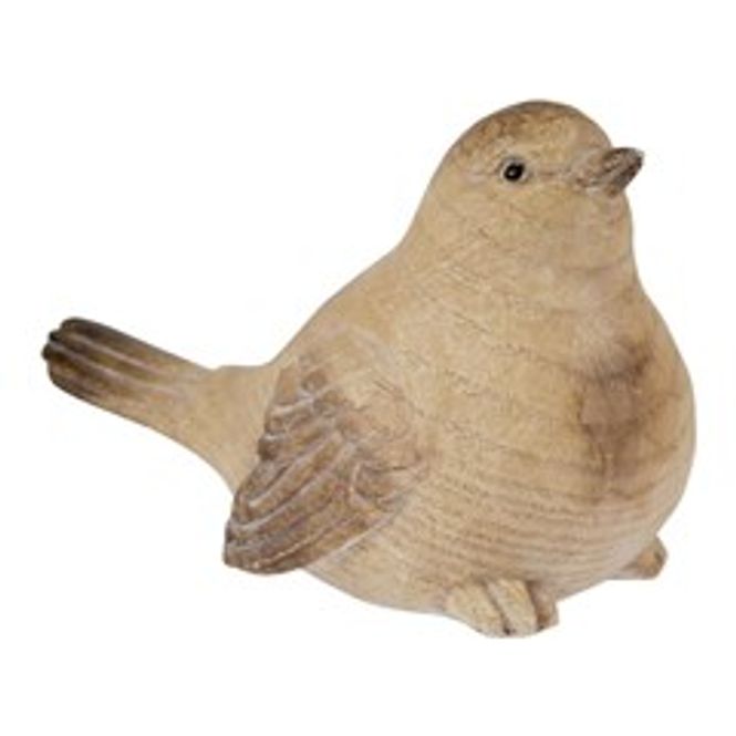 Hovedbilde Edelwisse fugl liten