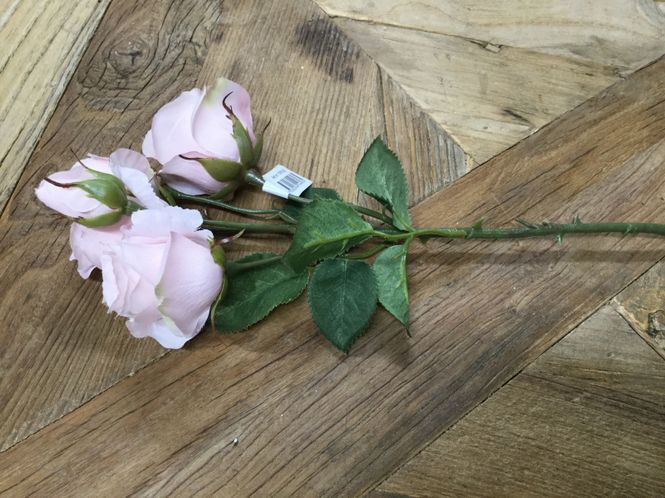 Hovedbilde Mr Plant Rose Bukett Rose