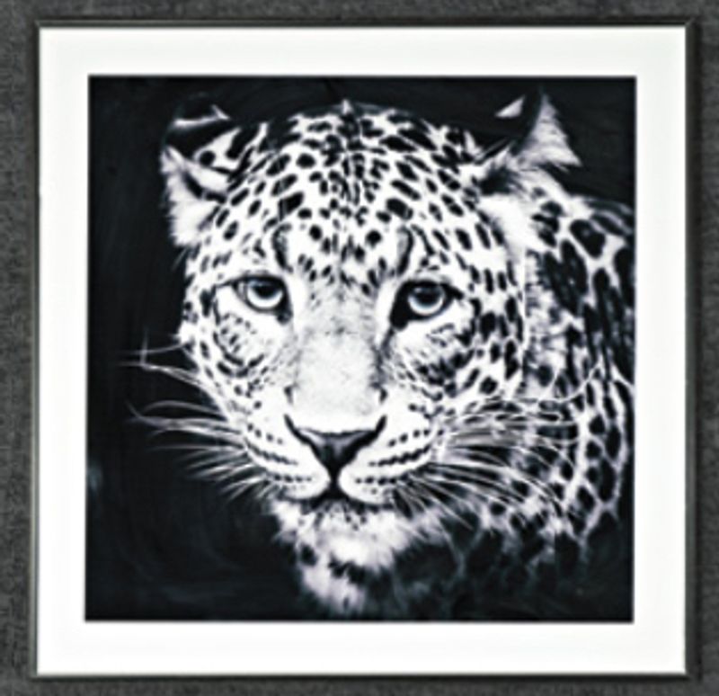 Bilde Leopard