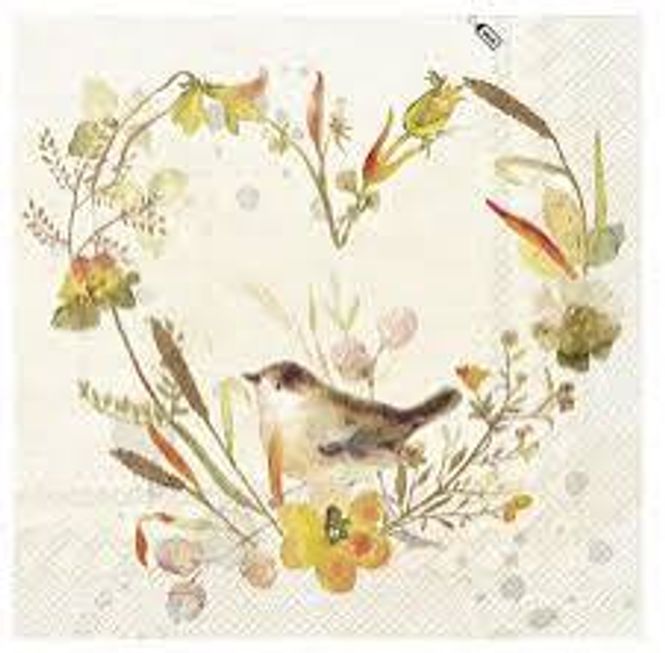 Hovedbilde Lovely Littel Bird cream Lunch